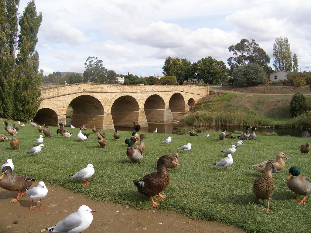 Bridge Cottages Sargeants & Armoury Cottages 1823 - History & Charm 里士满 外观 照片